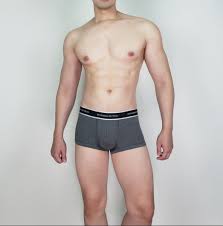 Men Brief