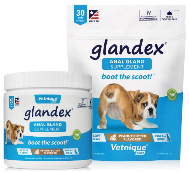 Understanding The Role Of Anal Gland Supplements In Dog Health