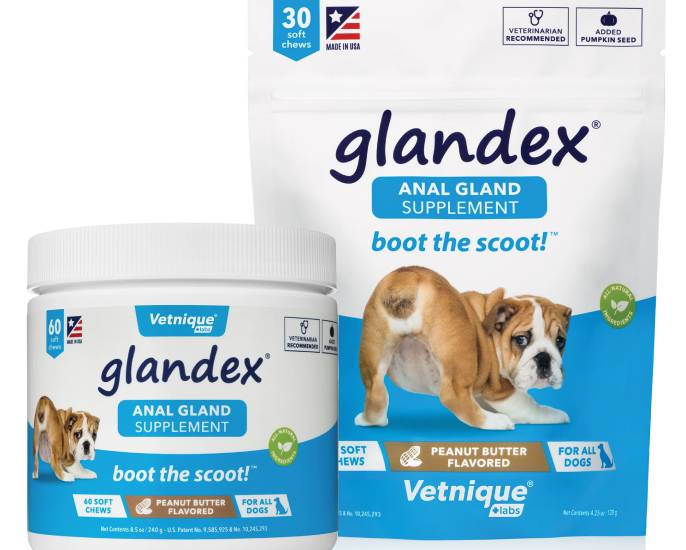 Understanding The Need For Anal Gland Supplements