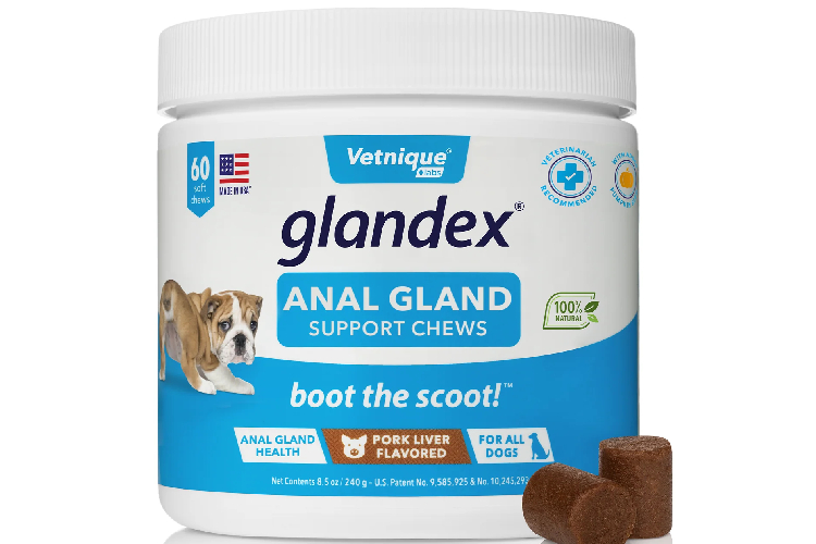 anal gland supplement