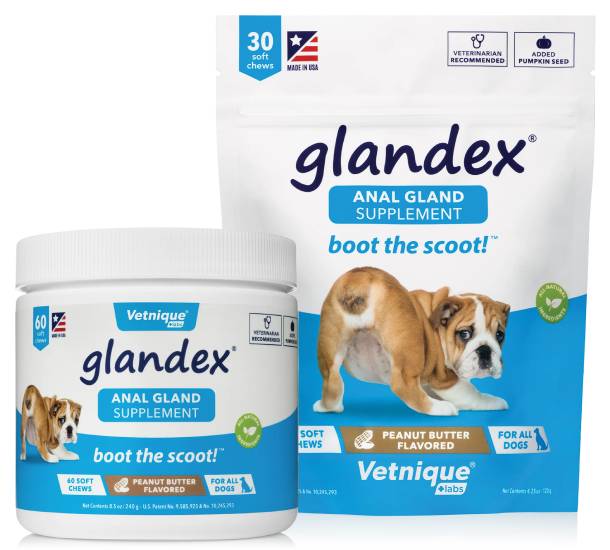 Supporting Your Pet’s Health with Anal Gland Supplements