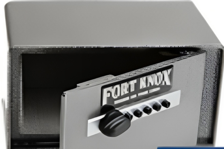 multiple handgun safe