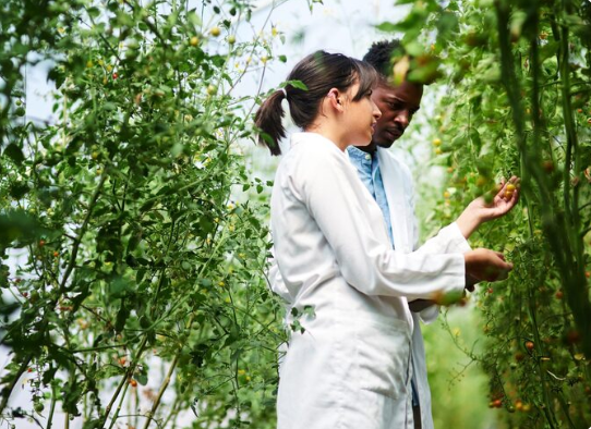Integrative Medicine Atlanta: A Whole-Person Approach to Better Health